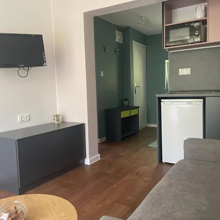 By Baza Academic Apartmán