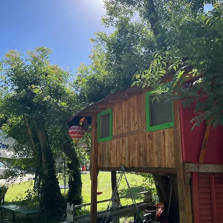 By Baza Academic Золотые Пески