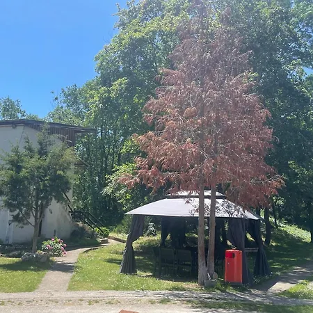 By Baza Academic Appartamento *